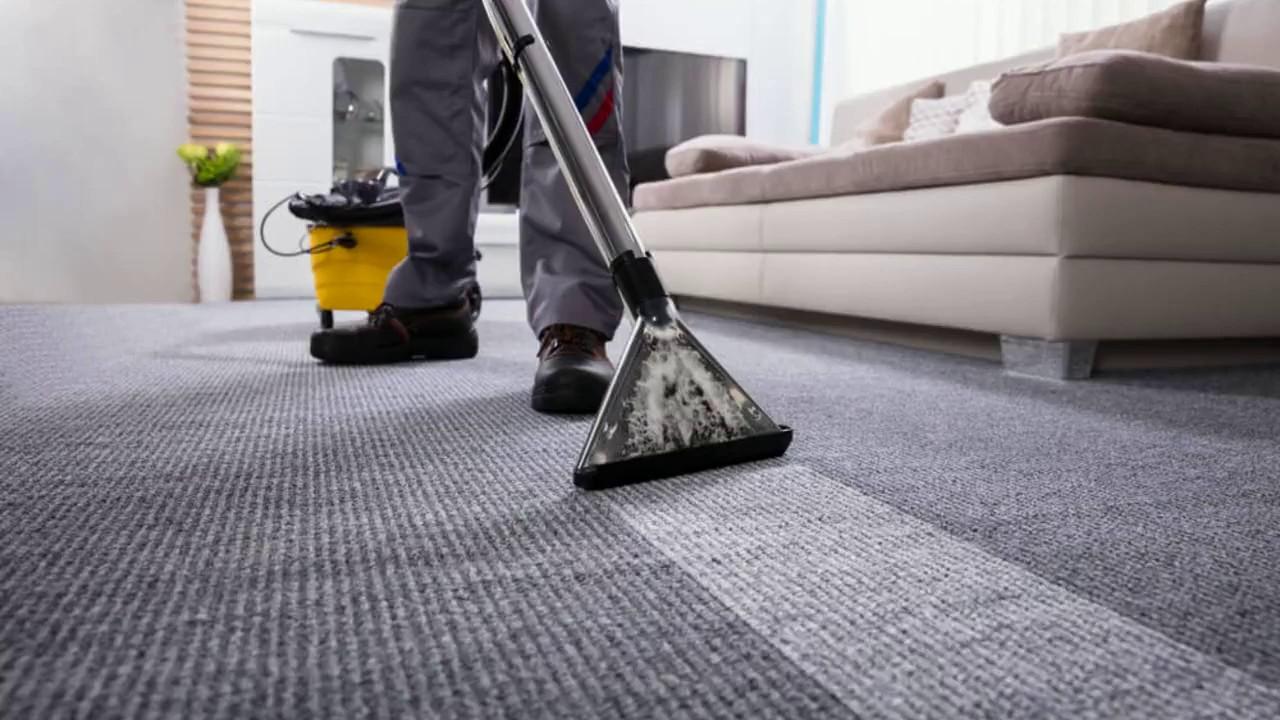 Deep Clean, Fresh Feel: EcoClean's Carpet & Upholstery Care