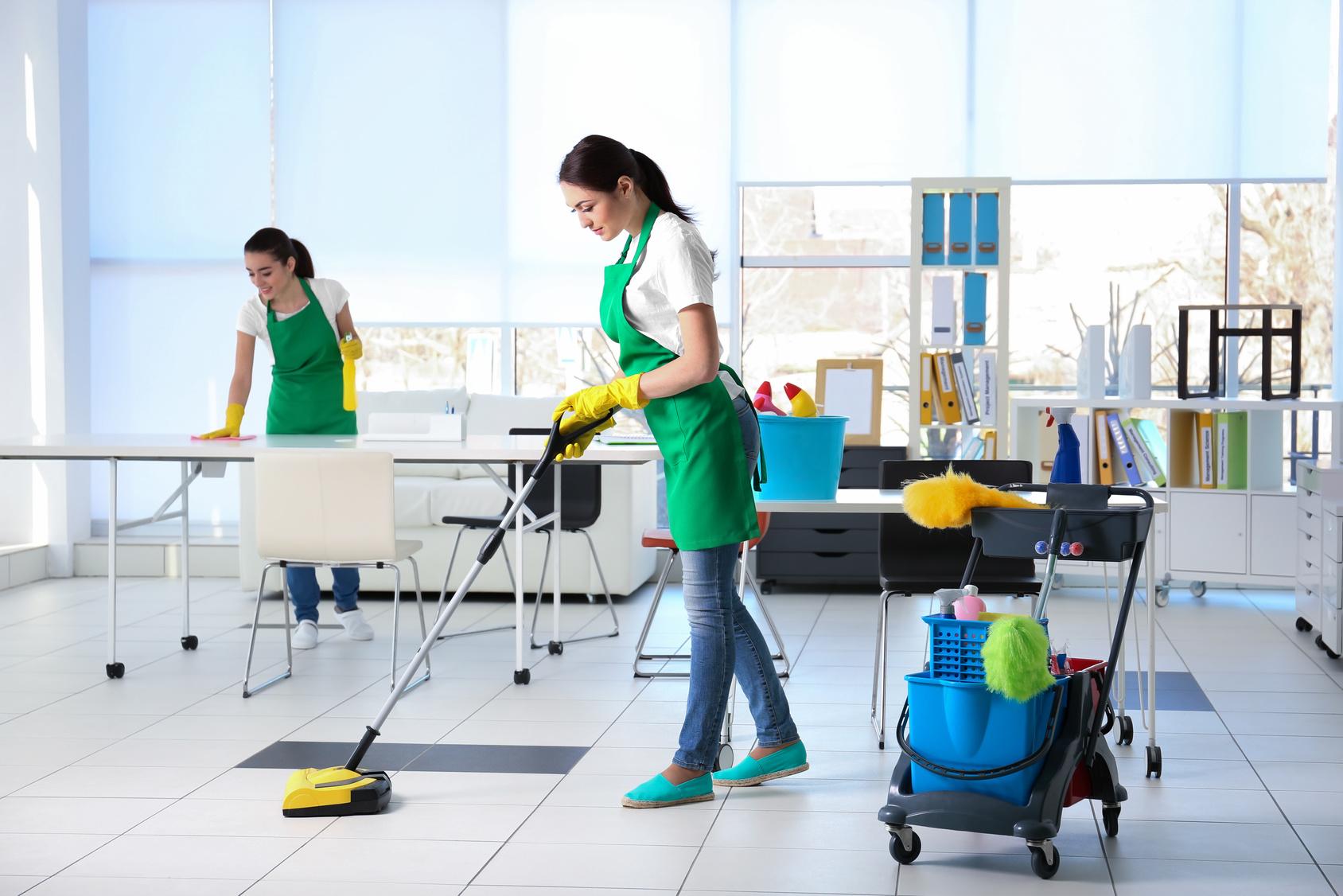 EcoClean: Your Partner for Impeccable Cleanliness