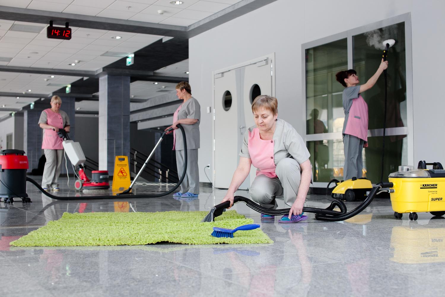 EcoClean: Pristine Homes & Living Spaces